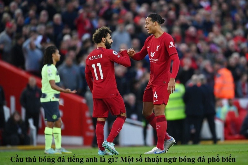 cau-thu-bong-da-tieng-anh-la-gi-mot-so-thuat-ngu-bong-da-pho-bien