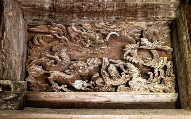 dieu khac la gi dac diem va cac loai hinh pho bien