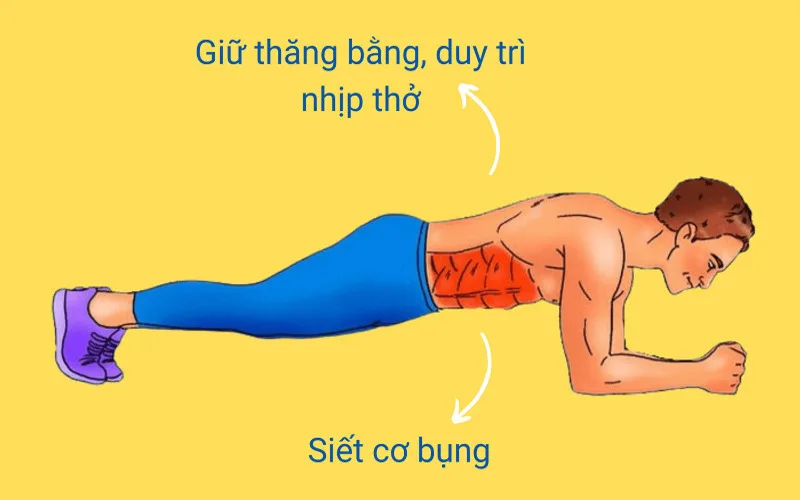 plank co tac dung gi 10 loi ich doi voi suc khoe va voc dang