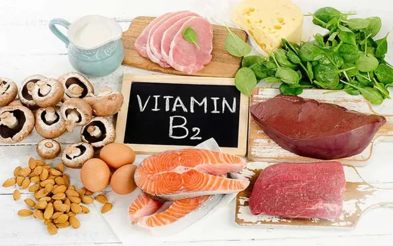 vitamin b2 co trong thuc pham nao 15 nguon bo sung tot nhat