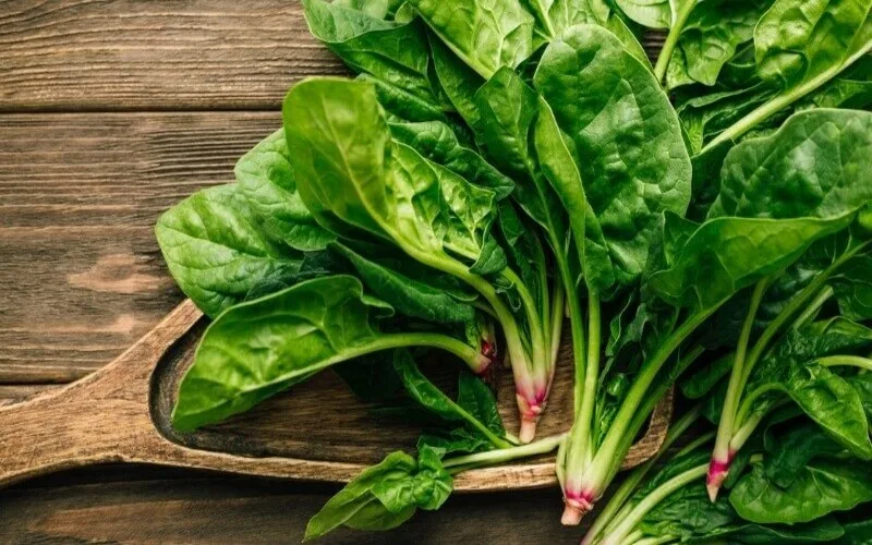 vitamin b2 co trong thuc pham nao 15 nguon bo sung tot nhat