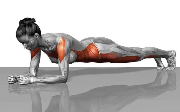 quy-trinh-tap-luyen-plank-dung-cach-a1