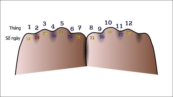 có bao nhiêu tháng có 28 ngày