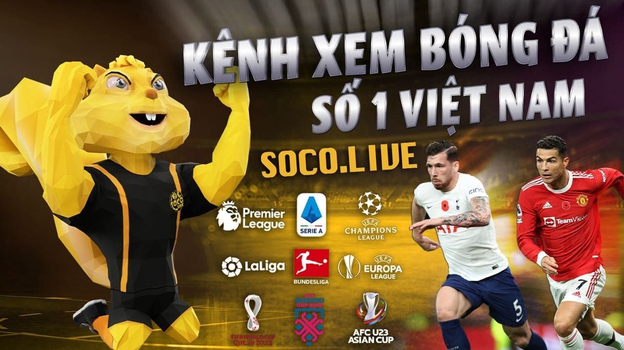 Xem trực tiếp bóng đá tại SocoliveTV có gì khác biệt?