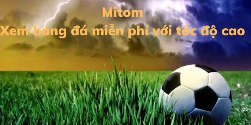 Đến và thưởng thức các trận bóng chất lượng cao tại Mitom đi nào